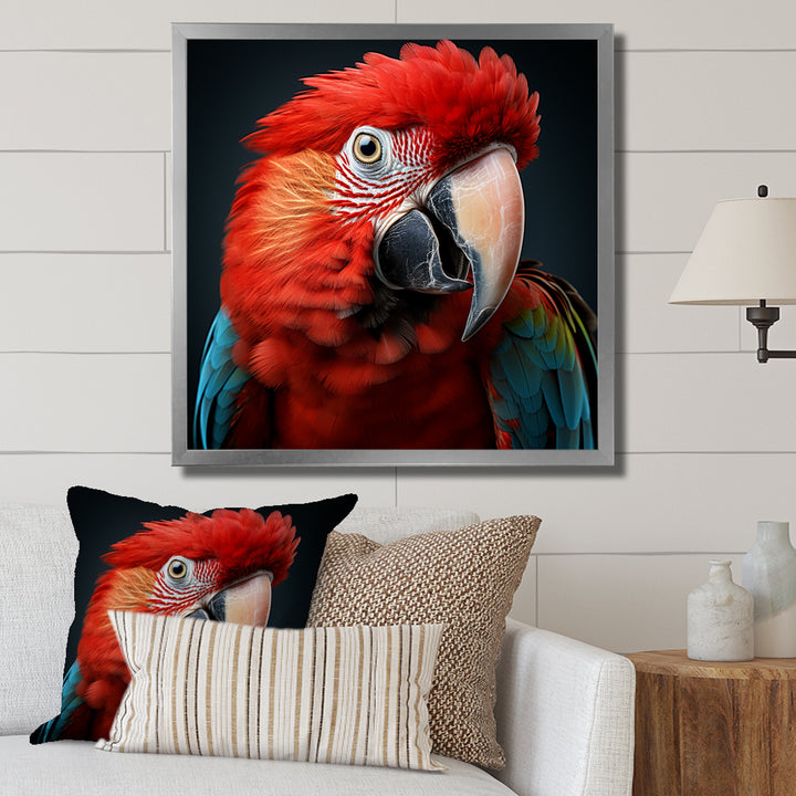 Red Parrot portrait photo - Parrot Wall Art Prints