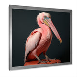 Coastal Watch pink Pelican - Pelican Framed Canvas Art