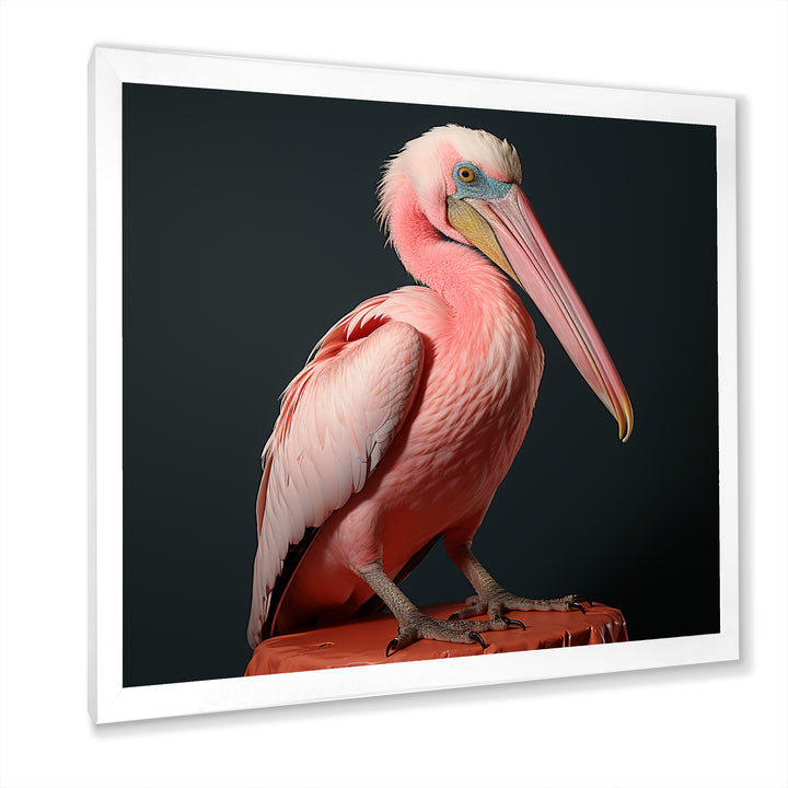 Coastal Watch pink Pelican - Pelican Framed Canvas Art