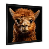 Serene Alpaca in Natural Elegance - Alpaca Canvas Wall Art