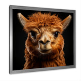 Serene Alpaca in Natural Elegance - Alpaca Canvas Wall Art