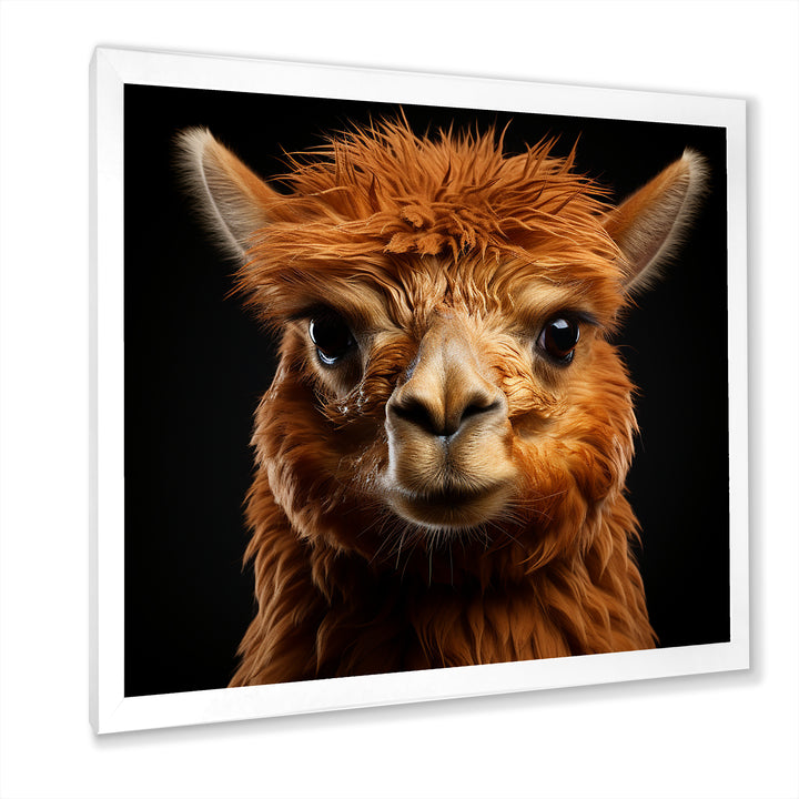 Serene Alpaca in Natural Elegance - Alpaca Canvas Wall Art