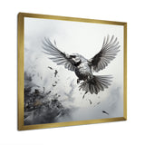 Graphite Realism The Wild Bird - Bird Wall Decor