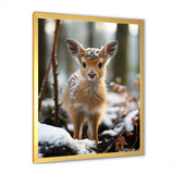 Cute Baby Deer portrait in winter - Animals Canvas Wall Art