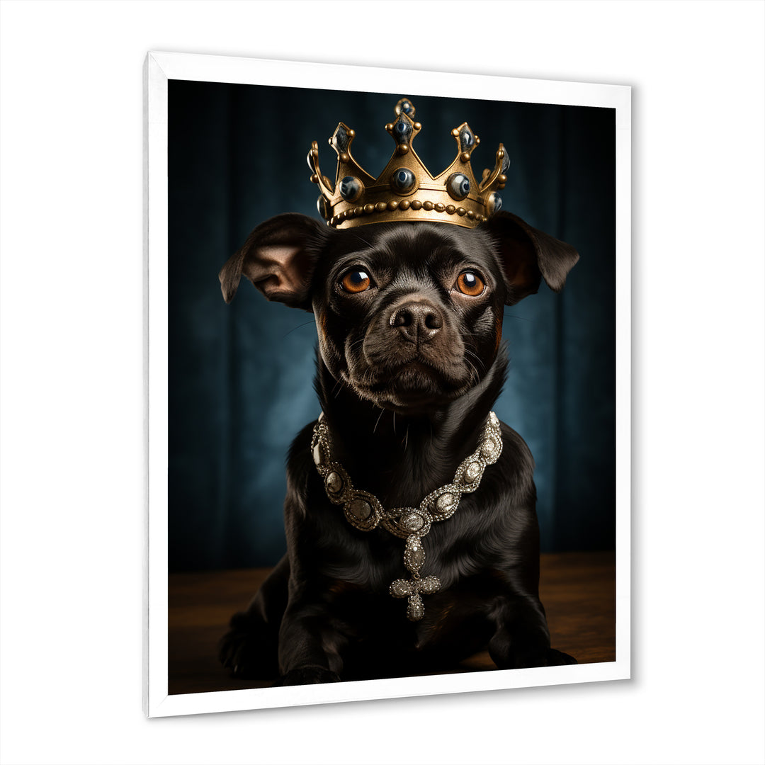 Crowned Royal Boston Terror - Black Dog Wall Art