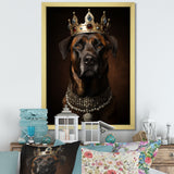 Crowned Royal mountain Dog - Dog Framed Canvas Art