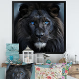 Midnight black and blue lion - Lion Canvas Wall Art