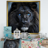 Midnight black and blue lion - Lion Canvas Wall Art