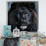 Midnight black and blue lion - Lion Canvas Wall Art