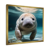 Curious Manatee gaze III - Animals Canvas Wall Art