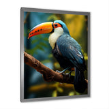 Blue and white Tropical Toucan jungle - Blue Toucan Wall Art