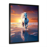 Coastal Horse Majesty Noble Horse Portrait - Horse Wall Art Prints