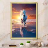 Coastal Horse Majesty Noble Horse Portrait - Horse Wall Art Prints