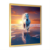 Coastal Horse Majesty Noble Horse Portrait - Horse Wall Art Prints