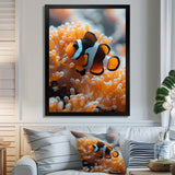 Orange white coral clown fish Marvel - Coral Bedroom Wall Art