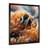 Orange white coral clown fish Marvel - Coral Bedroom Wall Art