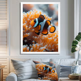 Orange white coral clown fish Marvel - Coral Bedroom Wall Art