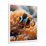 Orange white coral clown fish Marvel - Coral Bedroom Wall Art