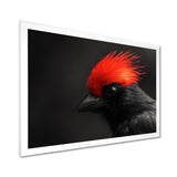Red Grey Whispers Bird of Paradise - Bird Canvas Wall Art