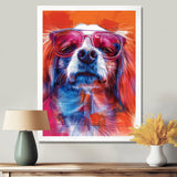Pink white sunglasses border collie portrait - Dog Wall Art Prints
