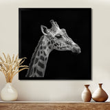 Giraffe profile on black - Gray Giraffe Wall Art