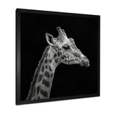 Giraffe profile on black - Gray Giraffe Wall Art