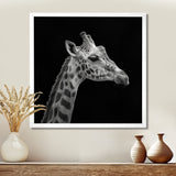 Giraffe profile on black - Gray Giraffe Wall Art