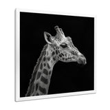Giraffe profile on black - Gray Giraffe Wall Art