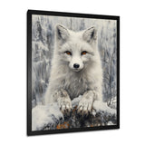 Grey Arctic Fox In The Yukon - Wolf Home Decor Art