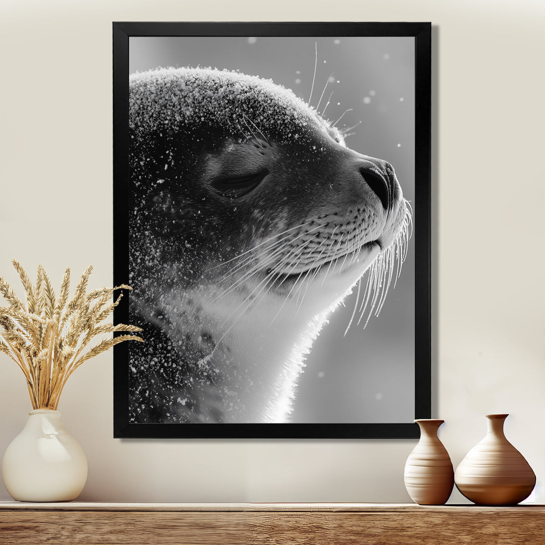 Monochrome Black Seal Accented With Grey - Seal Wall Decor