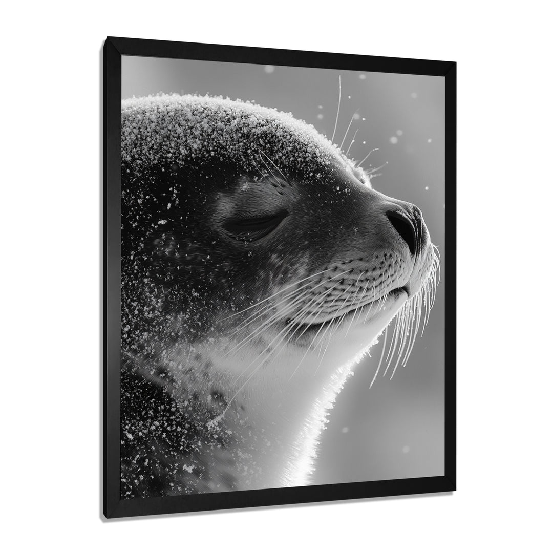 Monochrome Black Seal Accented With Grey - Seal Wall Decor