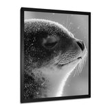 Monochrome Black Seal Accented With Grey - Seal Wall Decor