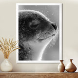 Monochrome Black Seal Accented With Grey - Seal Wall Decor