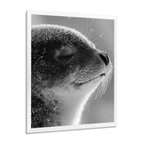 Monochrome Black Seal Accented With Grey - Seal Wall Decor