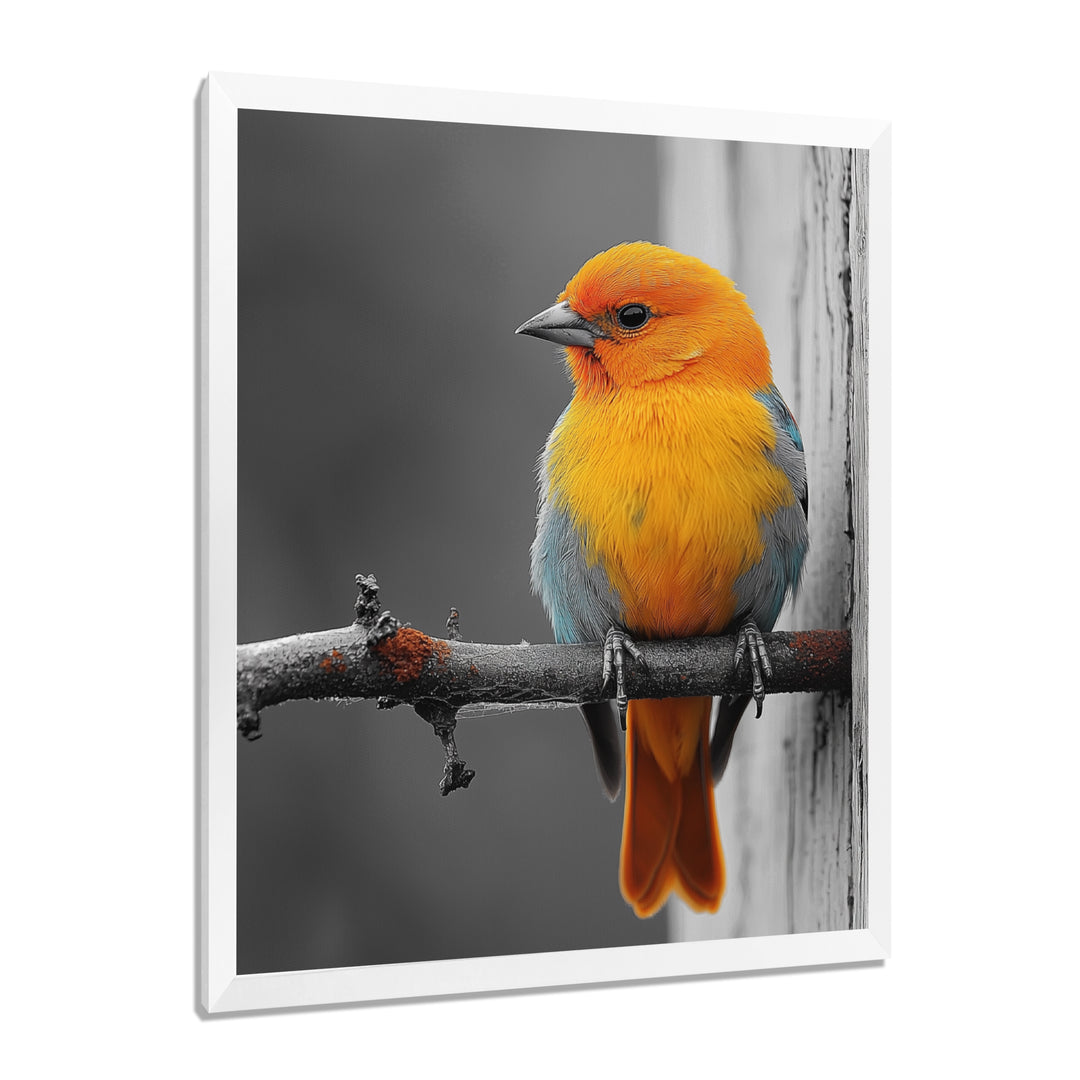 Yellow Chickadee&