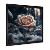 A Blooming Rose Flower In A Forest II Framed Print Vibrant Black - 1.5"Width