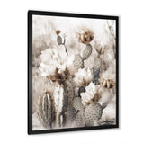 Cream Desert Cactus - Floral Canvas Wall Art