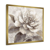 Grey Peonies On Branch II - Floral Canvas Wall Art