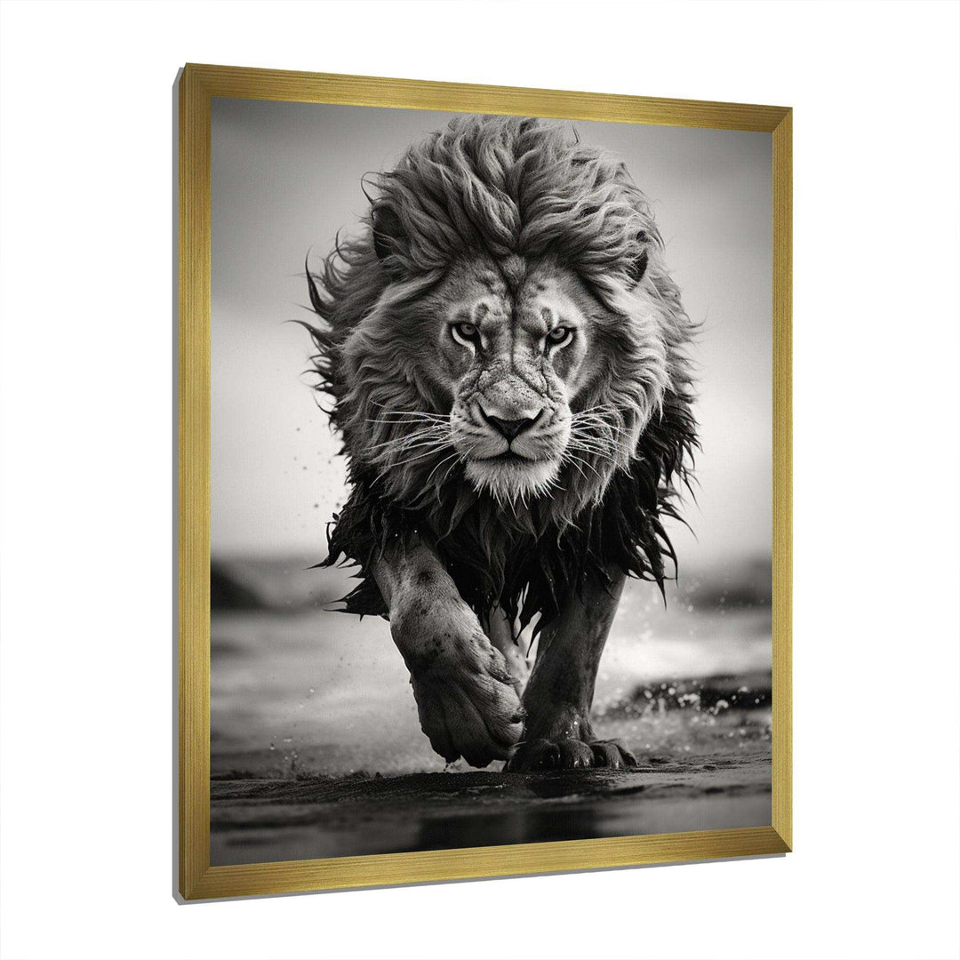 Black And White Lion Running In Africa - Animals Canvas Wall Art