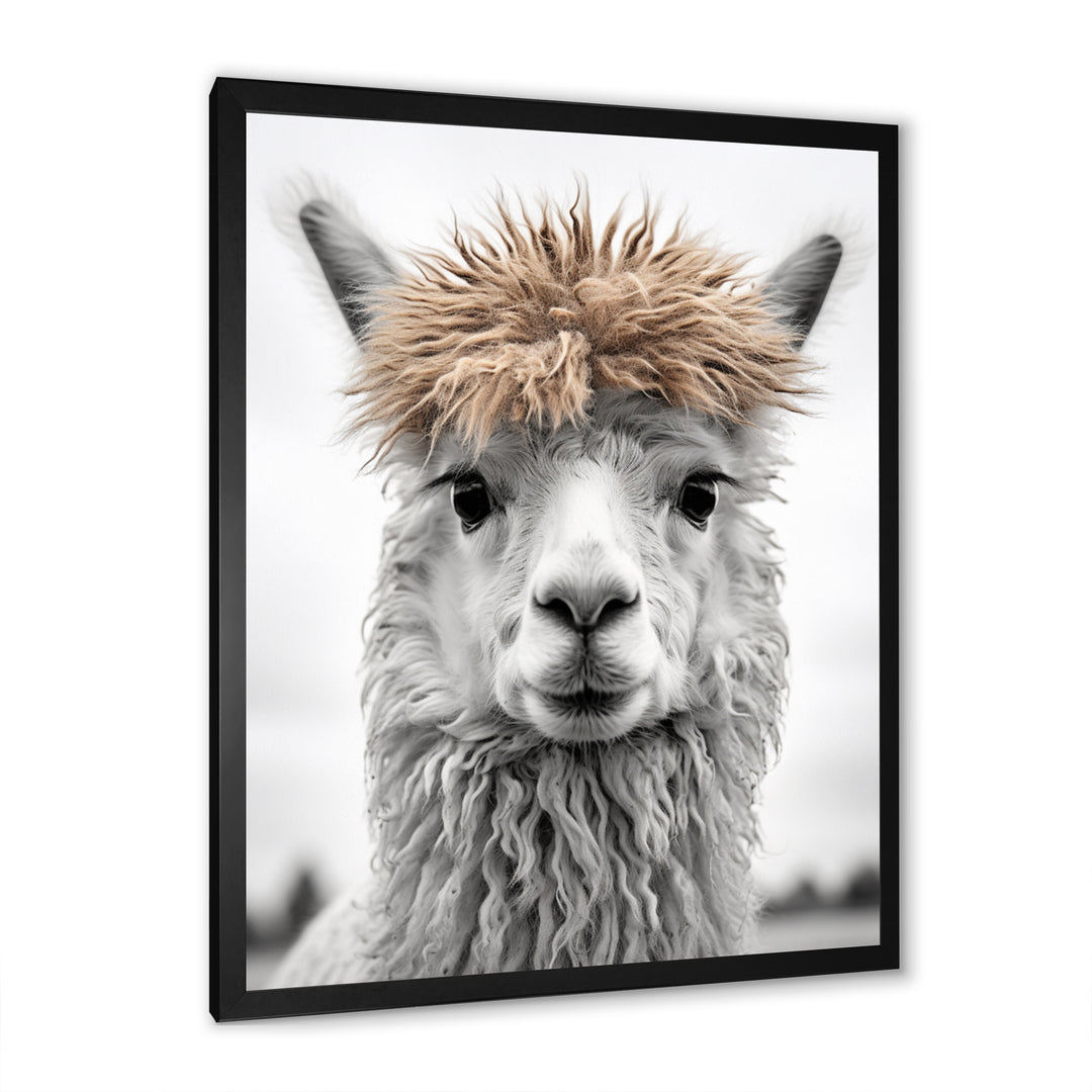 Curious Alpaca - Beige Alpaca Wall Art