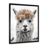Curious Alpaca - Beige Alpaca Wall Art