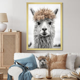 Curious Alpaca - Beige Alpaca Wall Art