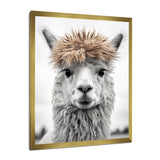 Curious Alpaca - Beige Alpaca Wall Art