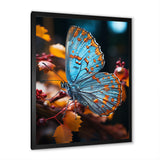 Turquoise Yellow Animal Butterfly - Butterfly Wall Art Prints