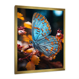 Turquoise Yellow Animal Butterfly - Butterfly Wall Art Prints