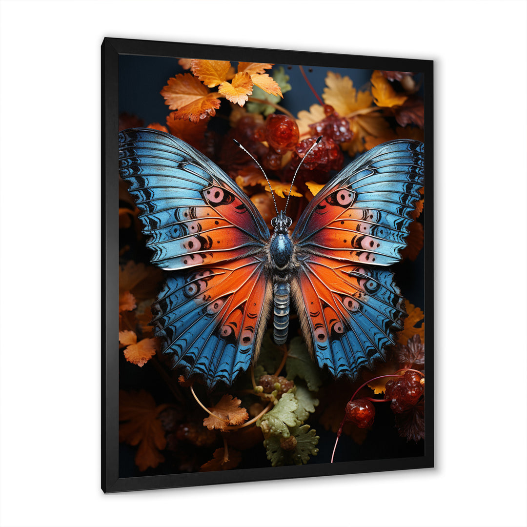 Orange Turquoise Animal Butterfly - Orange Butterfly Wall Art