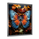 Orange Turquoise Animal Butterfly - Orange Butterfly Wall Art