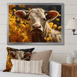 Cow Fields Of Gold - Cow Wall Decor
