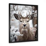 Animal Winter Deer - Animals Canvas Wall Art