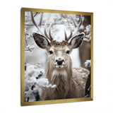 Animal Winter Deer - Animals Canvas Wall Art